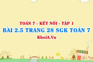 Bài 2.5 trang 28 SGK Toán 7 tập 1 Kết nối tri thức